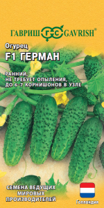 ������ ������ F1 5 ��. �������� (���������)