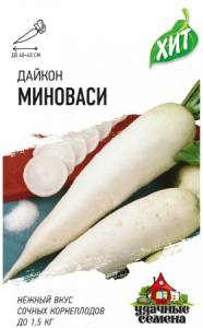 ������ �������� 1 � ��� �3